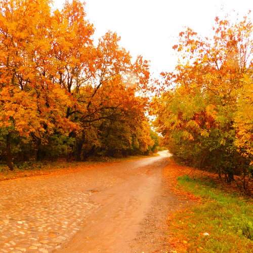 Photo #6607311