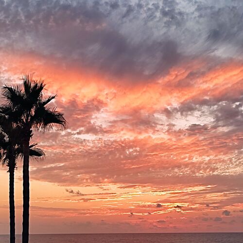 Photo #6607556