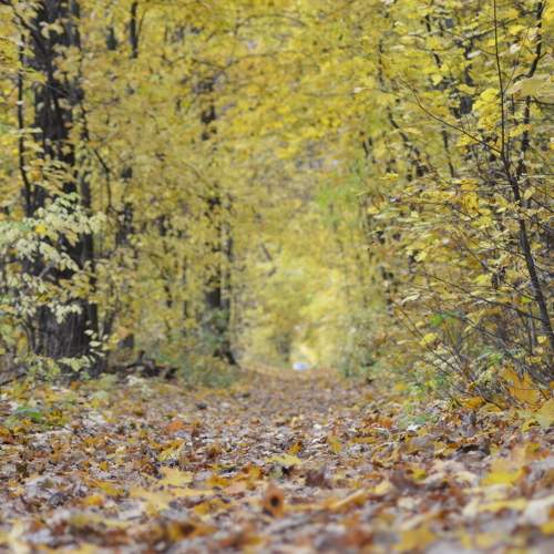 Photo #6607666