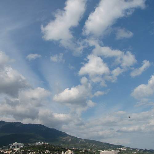 Photo #6607737