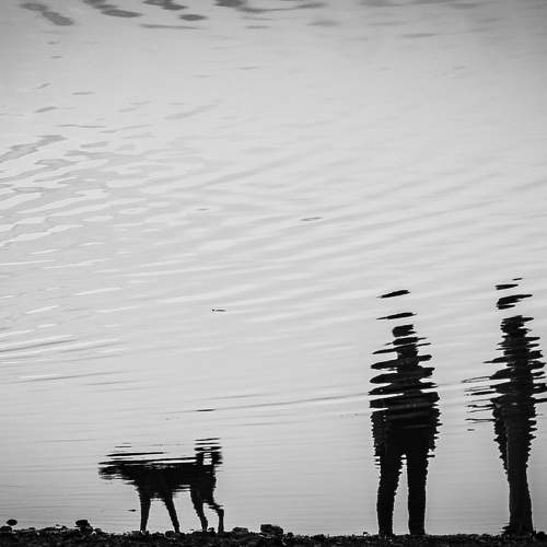 Photo #6607829