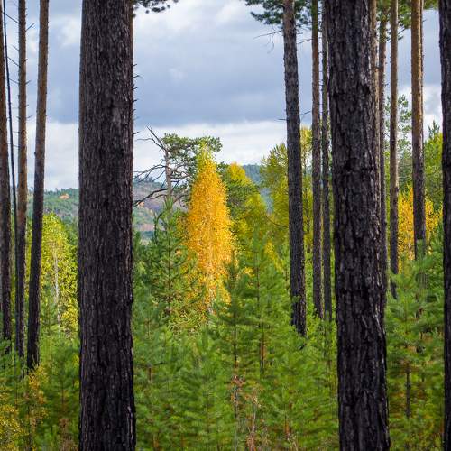 Photo #6608232
