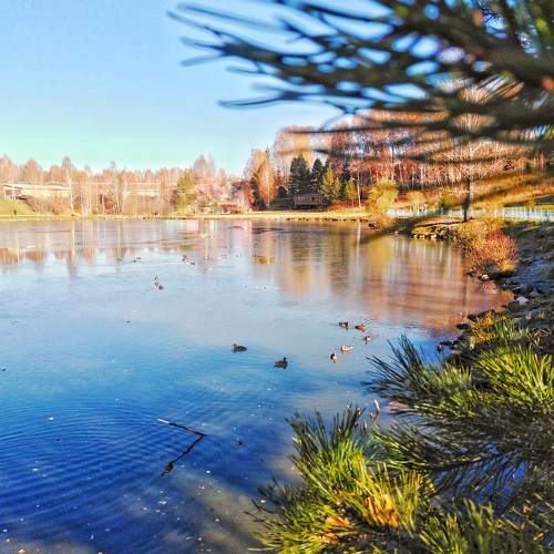 Photo #6608237