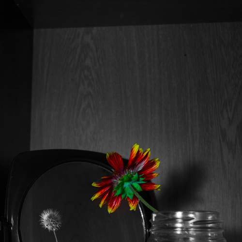 Photo #6608273