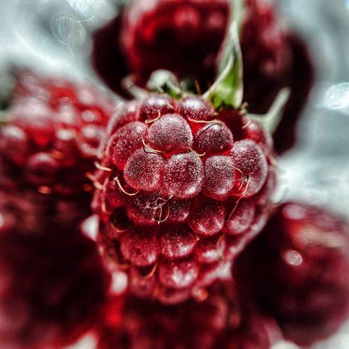 Photo #6608284