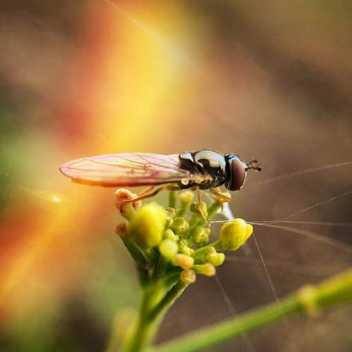 Photo #6608285