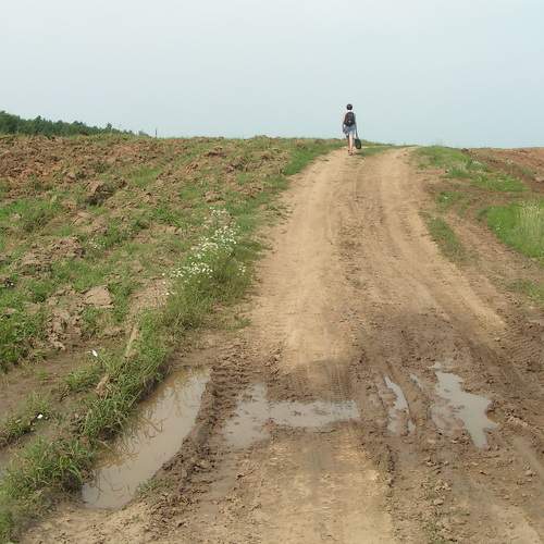 Photo #6608345