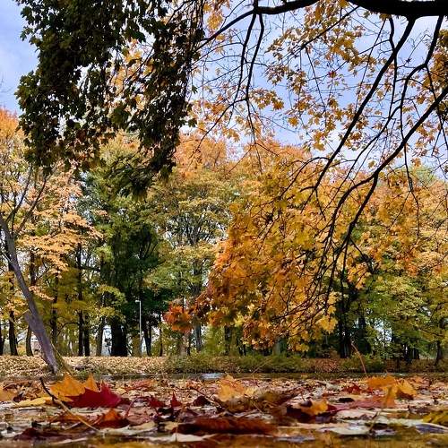 Photo #6608530