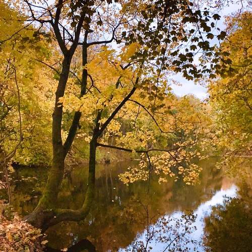 Photo #6608531