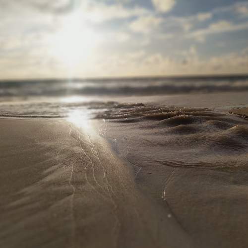 Photo #6608665