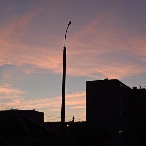 Photo #6608704