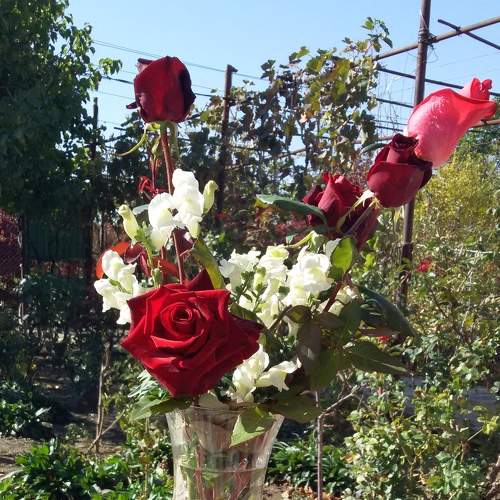 Photo #6608724