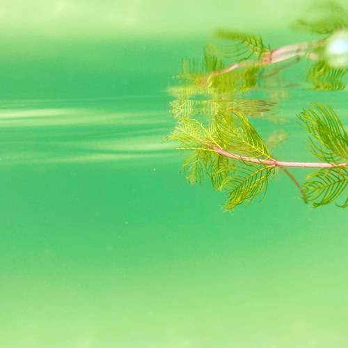 Photo #6608924