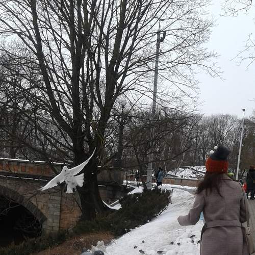 Photo #6608987