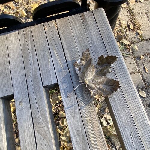 Photo #6609025