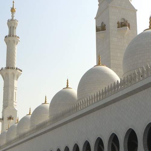 Photo #6609180