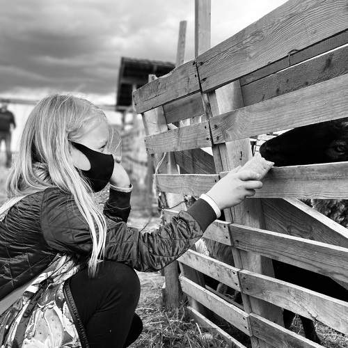 Photo #6609298