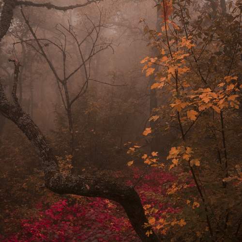 Photo #6609318