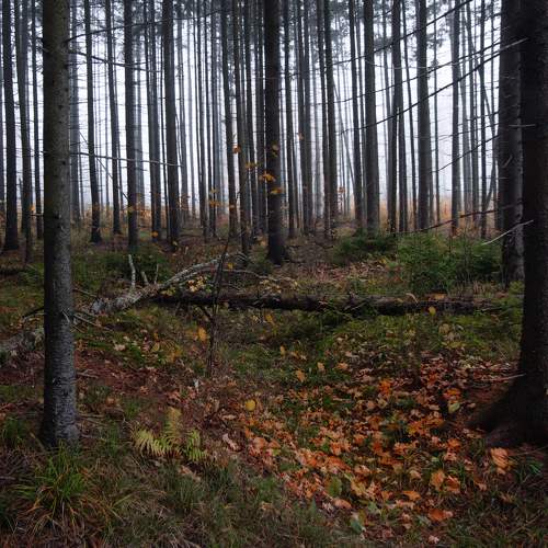Photo #6609353