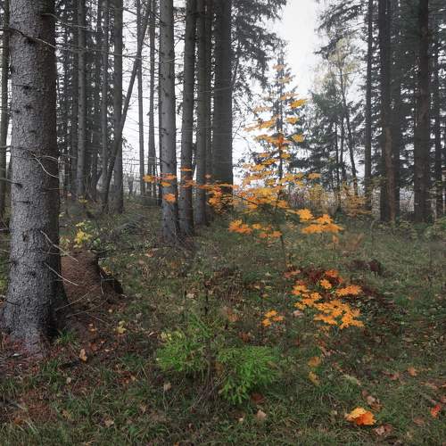 Photo #6609354
