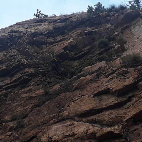 Photo #6609503