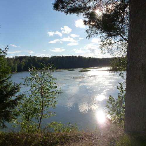 Photo #6609525