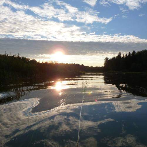 Photo #6609594