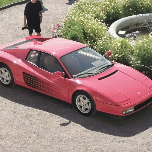 Photo #6610072