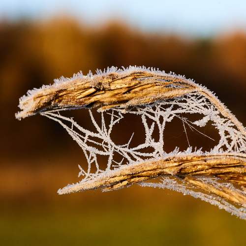 Photo #6610403