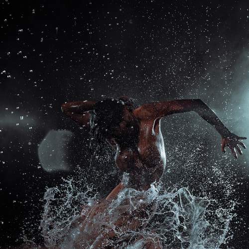 Photo #6610430
