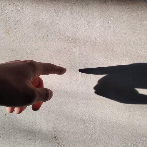 Photo #6610563
