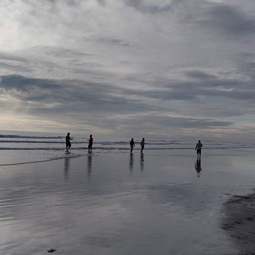 Photo #6610572