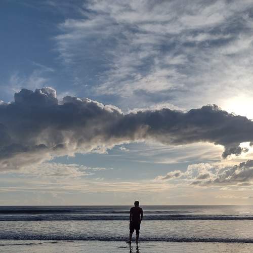 Photo #6610573