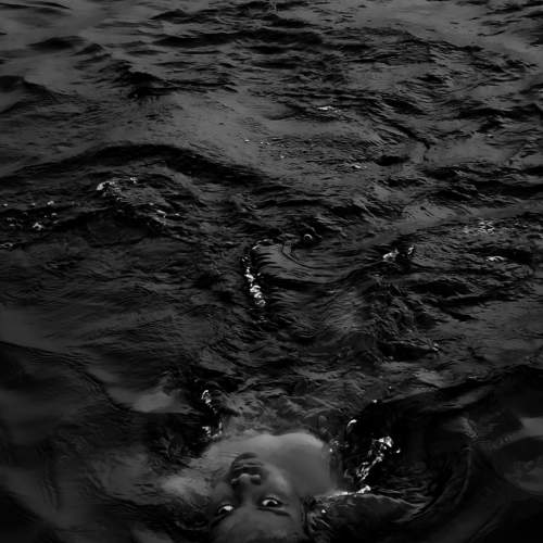 Photo #6610593