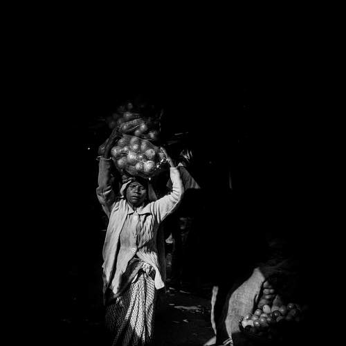 Photo #6610601