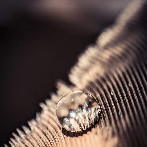 Photo #6610603