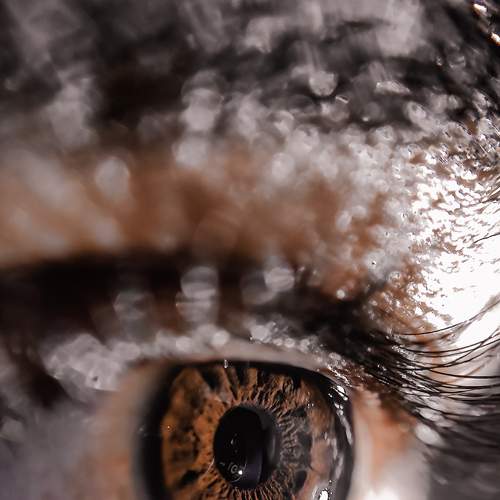 Photo #6610604