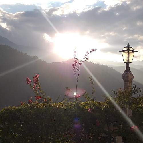 Photo #6610674