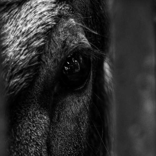 Photo #6610682