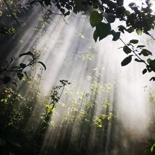 Photo #6610690