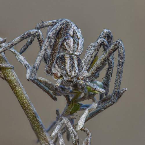 Photo #6610753