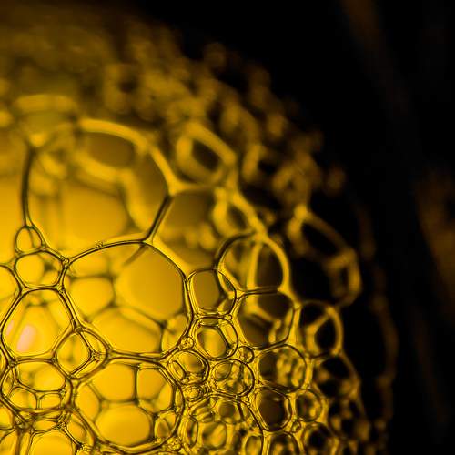 Photo #6610759
