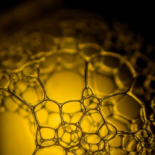 Photo #6610763