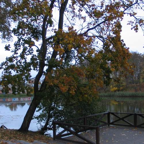 Photo #6611031