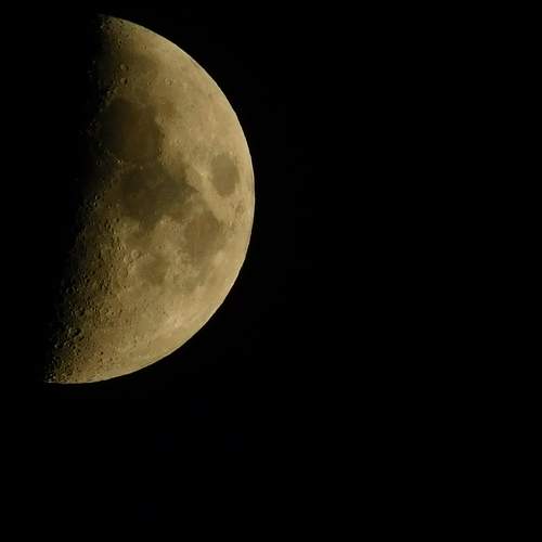 Photo #6611077