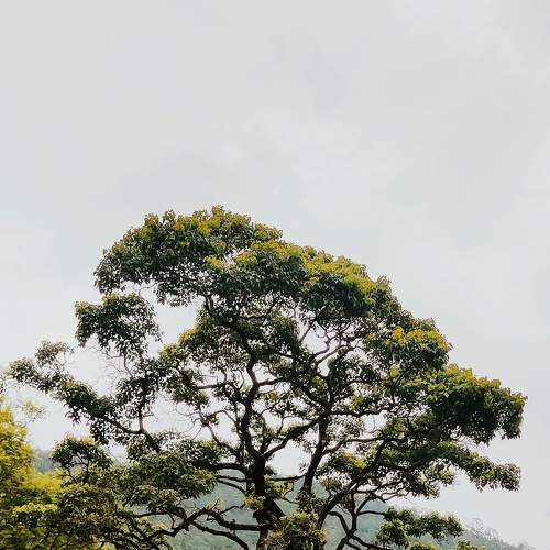 Photo #6611214