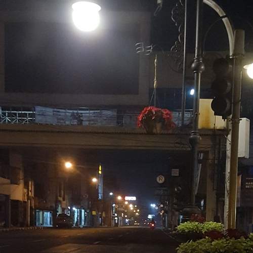 Photo #6611343