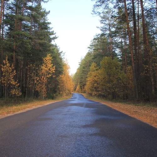Photo #6611606