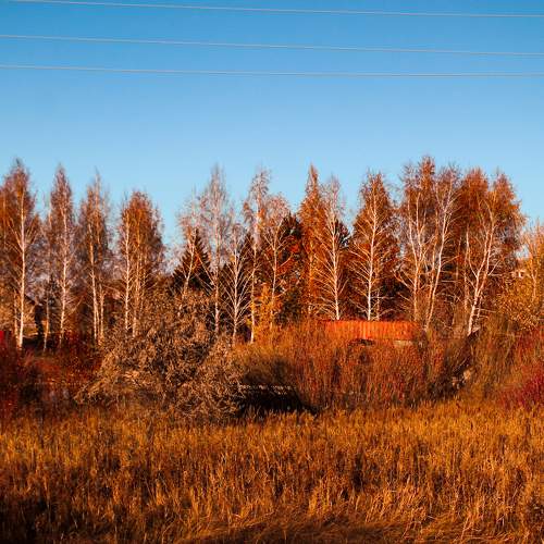 Photo #6611685