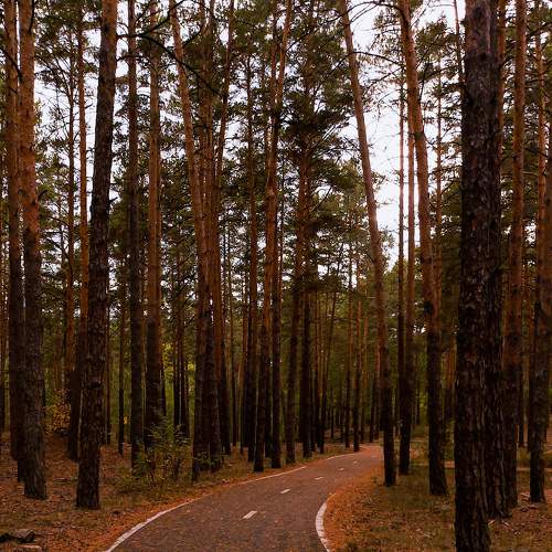 Photo #6611692